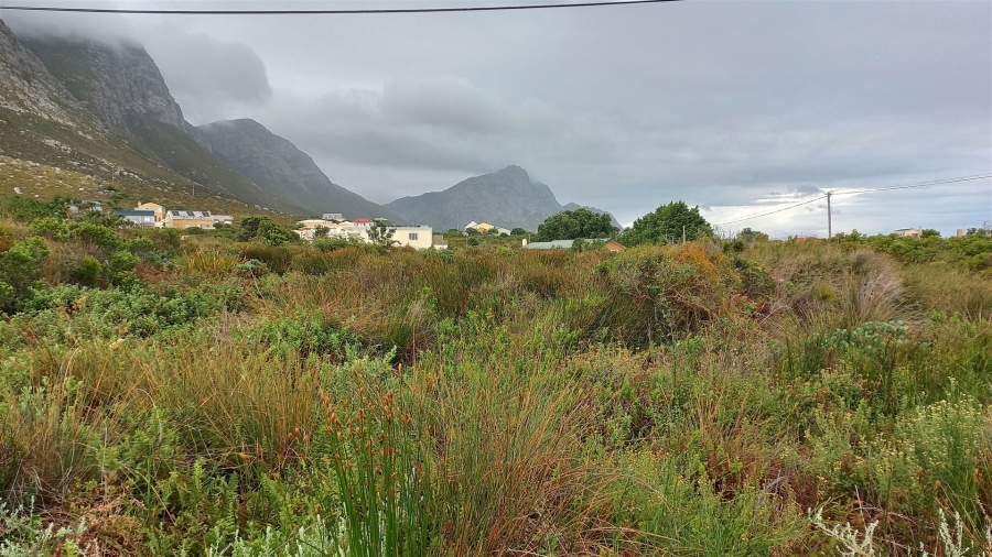 0 Bedroom Property for Sale in Bettys Bay Western Cape